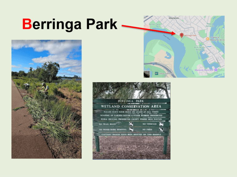 Berringa Park
